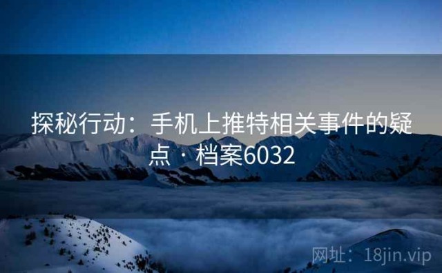探秘行动：手机上推特相关事件的疑点 · 档案6032