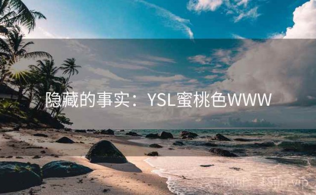 隐藏的事实：YSL蜜桃色WWW