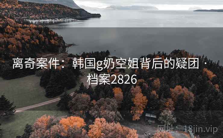 离奇案件：韩国g奶空姐背后的疑团 · 档案2826