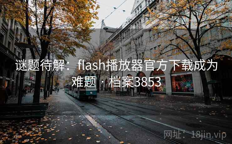 谜题待解：flash播放器官方下载成为难题 · 档案3853